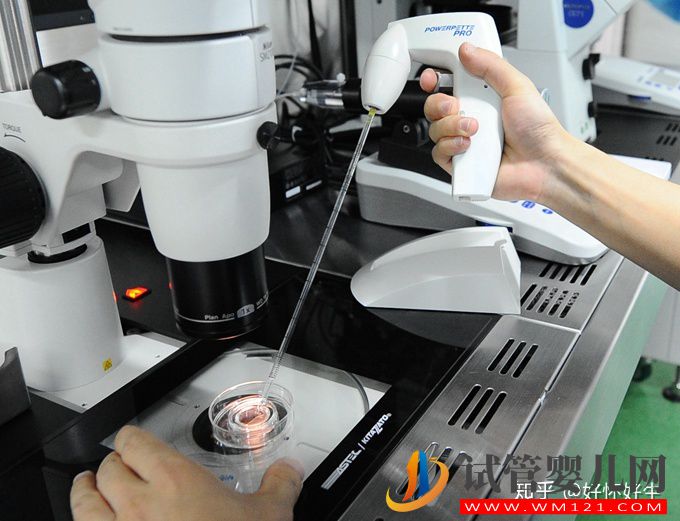 什么是試管嬰兒簡單6步,了解最詳細的步驟(圖3)