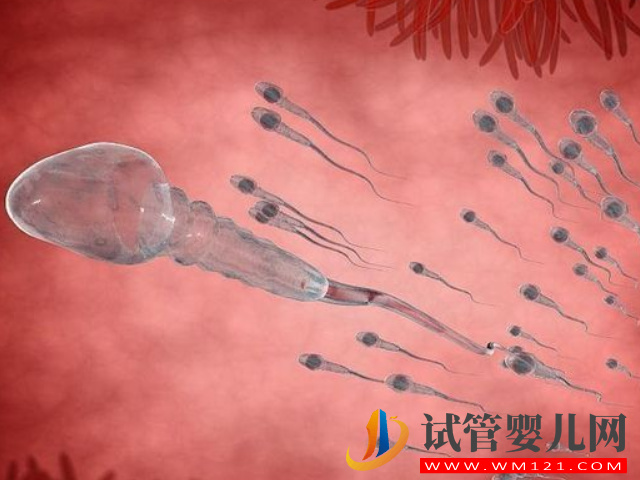 男性不育癥精子dna碎片檢測費用明細，不同醫(yī)院收費標準不等(圖2)