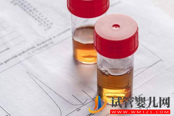 尿蛋白高最怕的三種水果曝光，飲食牢記這些禁忌給腎臟“減負”(圖1)