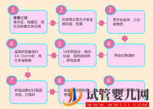 試管嬰兒流程步驟說明 試管嬰兒流程步驟說明(圖1)