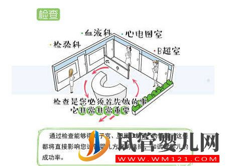 試管嬰兒流程步驟說明 試管嬰兒流程步驟說明(圖2)