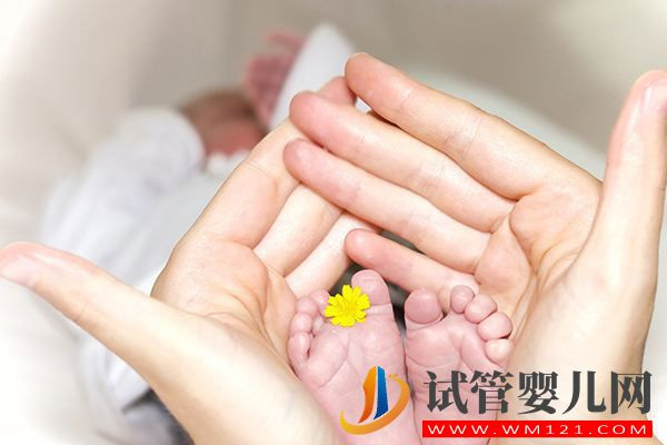 試管嬰兒流程步驟說明 試管嬰兒流程步驟說明(圖4)