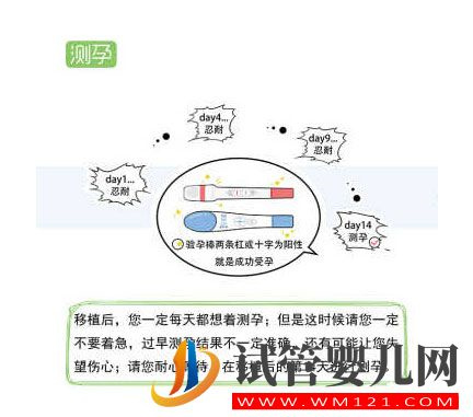 試管嬰兒流程步驟說明 試管嬰兒流程步驟說明(圖9)