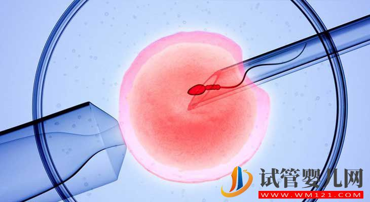 35歲試管嬰兒的成功率有多少?(圖3) 35歲試管嬰兒的成功率有多少?(圖3)