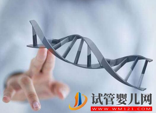 國內(nèi)朋友去泰國做試管嬰兒所需的手續(xù)有哪些？(圖1)