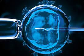 試管嬰兒取卵前男方注意事項(xiàng) 試管取卵前的注意事項(xiàng)(圖1) 日喀則試管嬰兒取卵前男方注意事項(xiàng) 試管取卵前的注意事項(xiàng)(圖1)