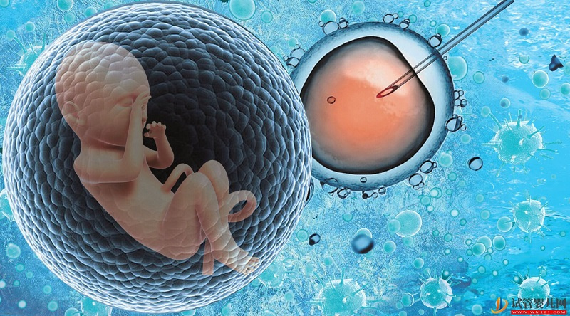 什么是試管嬰兒成功率如何衡量(圖1)