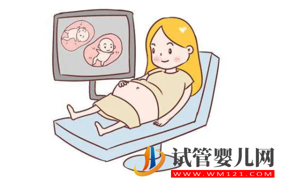 image.png 試管放2個胚胎成功高嗎(圖1)