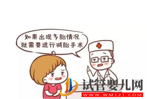 image.png 試管放2個胚胎成功高嗎(圖3)