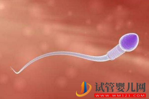 精子庫取精流程一覽，什么人捐的、怎么來的一看便知(圖3)