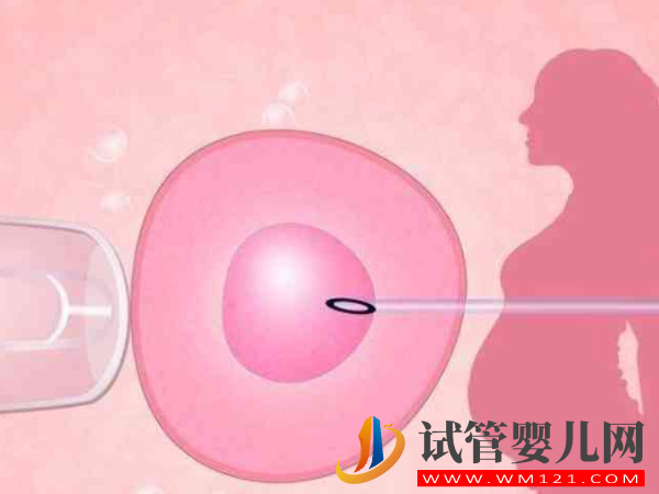 50歲絕經申請借卵做試管成功的人多嗎？(圖1)