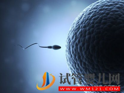 43歲做試管,成功的幾率有多大(圖1)