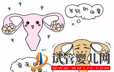 什么是卵巢早衰？哪些是卵巢早衰高危人群？(圖1)