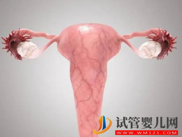 子宮腺肌癥打達菲林頻率有講究，效果好不好看看就知道(圖4)