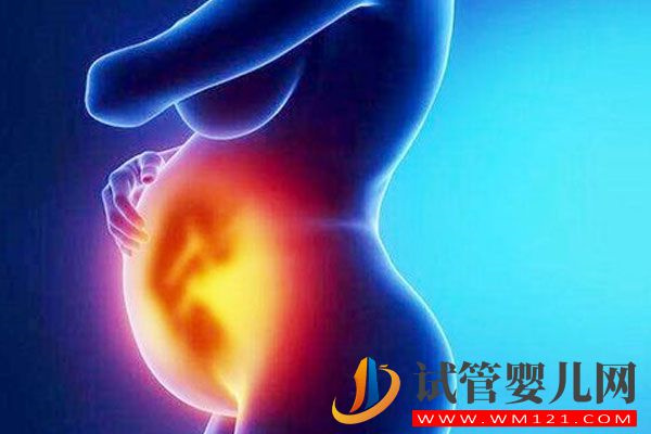 多囊做試管選抗結劑方案成功率是多少?(圖1)