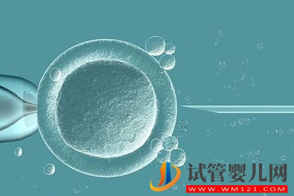 做試管嬰兒胚胎移植后的注意事項總結(jié)(圖1) 做試管嬰兒胚胎移植后的注意事項總結(jié)(圖1)