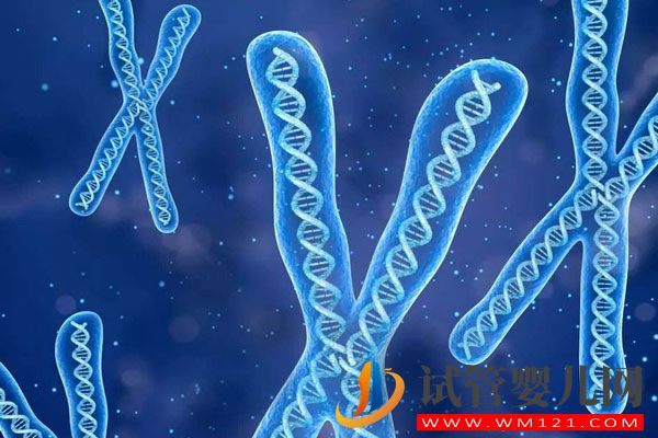 大齡、失獨家庭烏克蘭試管嬰兒多這3項常規(guī)檢查(圖3) 大齡、失獨家庭烏克蘭試管嬰兒多這3項常規(guī)檢查(圖3)