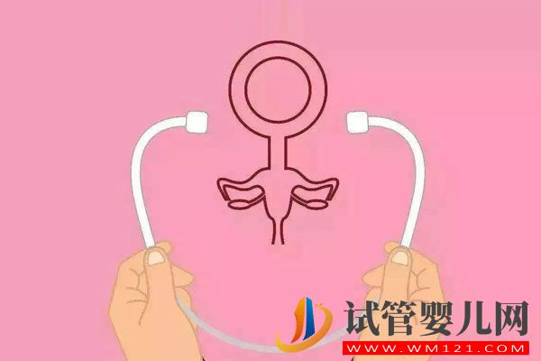 大齡、失獨家庭烏克蘭試管嬰兒多這3項常規(guī)檢查(圖5) 大齡、失獨家庭烏克蘭試管嬰兒多這3項常規(guī)檢查(圖5)
