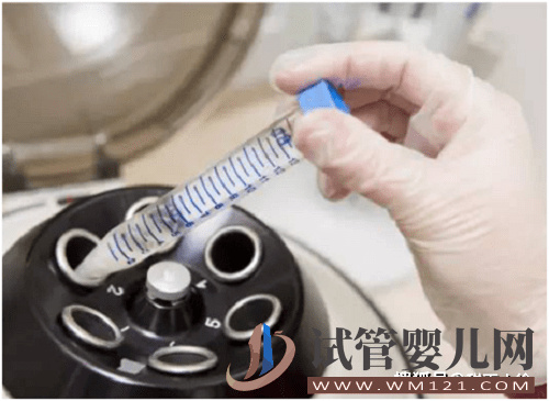 做試管嬰兒冷凍胚胎作用是什么(圖1)