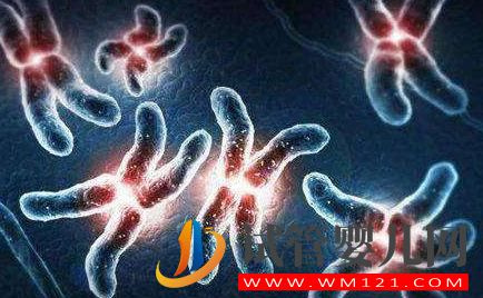 能夠自然受孕，為何還要做試管嬰兒?(圖2)