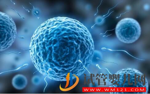 試管促排卵會對女性身體產(chǎn)生傷害嗎?(圖1) 試管促排卵會對女性身體產(chǎn)生傷害嗎?(圖1)