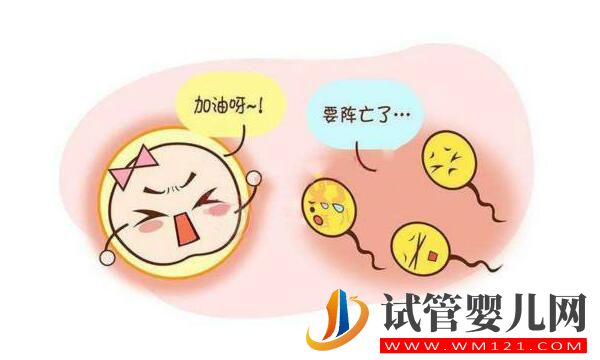 試管嬰兒移植后反應有哪些?(圖1) 日喀則試管嬰兒移植后反應有哪些?(圖1)