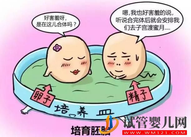 人工授精和試管嬰兒的區(qū)別及手術(shù)費(fèi)用是多少?(圖3) 和田人工授精和試管嬰兒的區(qū)別及手術(shù)費(fèi)用是多少?(圖3)