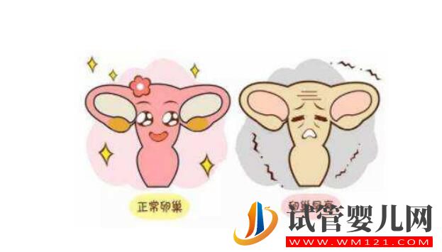 卵巢功能不好能做試管?嬰兒嗎？(圖3)