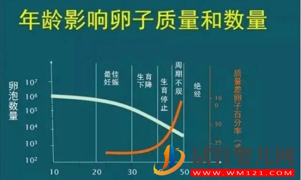 fsh值35偏高能否做試管嬰兒,做好這三點很重要,你也來試試!(圖1) fsh值35偏高能否做試管嬰兒,做好這三點很重要,你也來試試!(圖1)