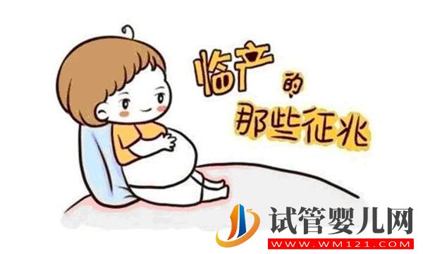 做完試管嬰兒后怎么判斷是否懷孕?(圖1) 做完試管嬰兒后怎么判斷是否懷孕?(圖1)