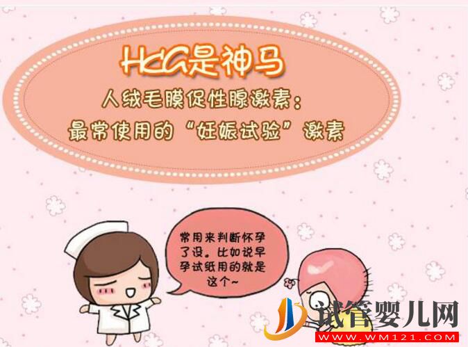 HCG對準媽媽有哪些作用?(圖2) HCG對準媽媽有哪些作用?(圖2)