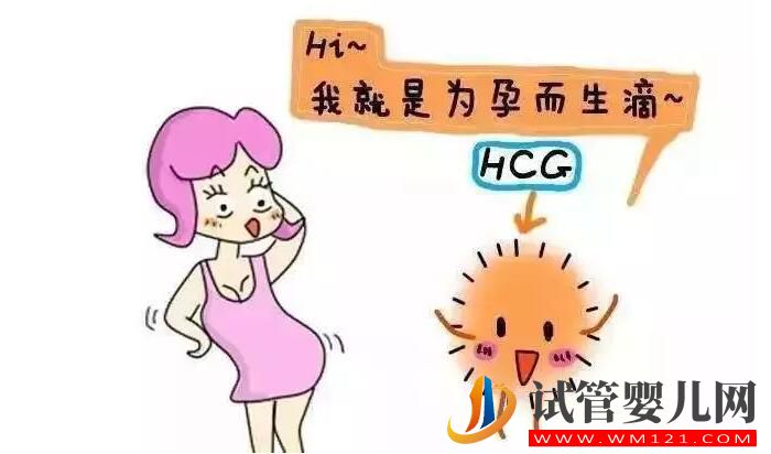 HCG對準媽媽有哪些作用?(圖1) HCG對準媽媽有哪些作用?(圖1)