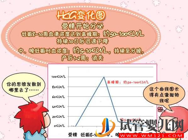 HCG對準媽媽有哪些作用?(圖3) HCG對準媽媽有哪些作用?(圖3)