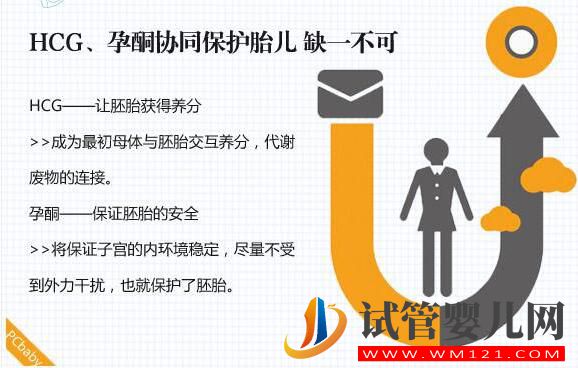 HCG對準媽媽有哪些作用?(圖4) HCG對準媽媽有哪些作用?(圖4)