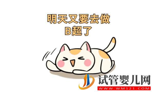 試管嬰兒月經期要做b超嗎?(圖3) 試管嬰兒月經期要做b超嗎?(圖3)