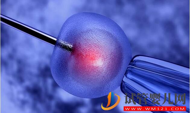 想做試管嬰兒請抓緊時間 別錯過黃金受孕期(圖2) 想做試管嬰兒請抓緊時間 別錯過黃金受孕期(圖2)