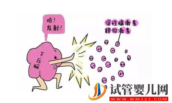 試管嬰兒有多少個方案？如何選擇促排卵方案？(圖1)