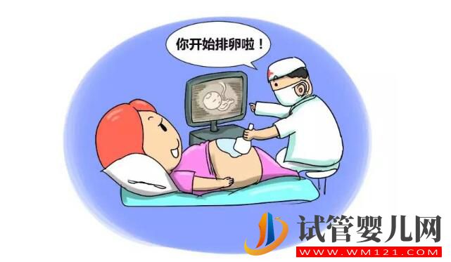 試管嬰兒有多少個方案？如何選擇促排卵方案？(圖3)