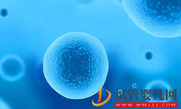 做試管嬰兒促排出現空卵泡是為什么?該怎么辦(圖2) 做試管嬰兒促排出現空卵泡是為什么?該怎么辦(圖2)