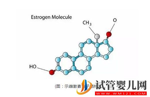 試管嬰兒進周前檢測雌激素是為什么？雌激素對于排卵進周的意義(圖1)