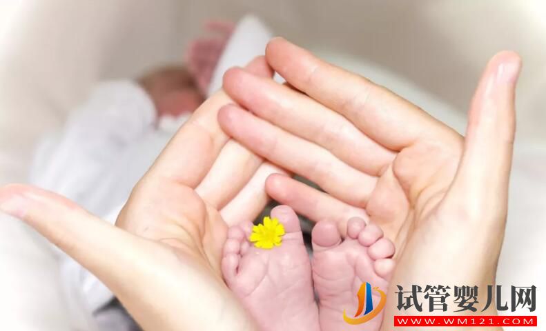 高齡備孕試管嬰兒如何提高成功率 需要做哪些調理工作(圖3) 高齡備孕試管嬰兒如何提高成功率 需要做哪些調理工作(圖3)