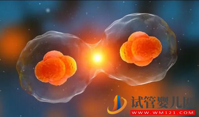 高齡備孕試管嬰兒如何提高成功率 需要做哪些調理工作(圖5) 高齡備孕試管嬰兒如何提高成功率 需要做哪些調理工作(圖5)