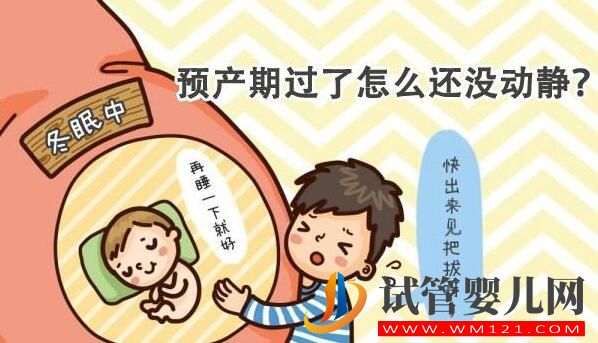 試管嬰兒妊娠如何推算預產期 正常妊娠是怎么算的(圖2) 試管嬰兒妊娠如何推算預產期 正常妊娠是怎么算的(圖2)