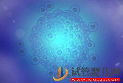 適合做試管嬰兒的人群有哪些？試管成功率受什么影響？(圖2)