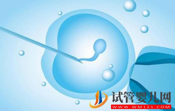 做試管為什么要做檢查?都有哪些檢查項目?(圖3) 做試管為什么要做檢查?都有哪些檢查項目?(圖3)