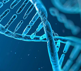 選擇生雙胞胎醫(yī)療機(jī)構(gòu)可以從哪些方面入手 選擇生雙胞胎醫(yī)療機(jī)構(gòu)可以從哪些方面入手(圖1)