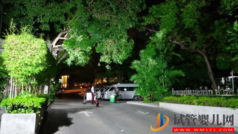 國外做試管嬰兒能選擇孩子性別嗎(圖1) 國外做試管嬰兒能選擇孩子性別嗎(圖1)