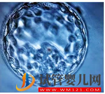 試管一次不成功做第二次費用多少(圖1)