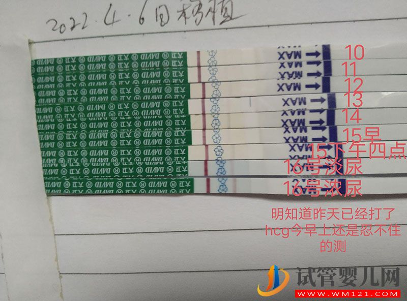 包生男孩就找第三代試管是真的嗎?(圖2) 包生男孩就找第三代試管是真的嗎?(圖2)