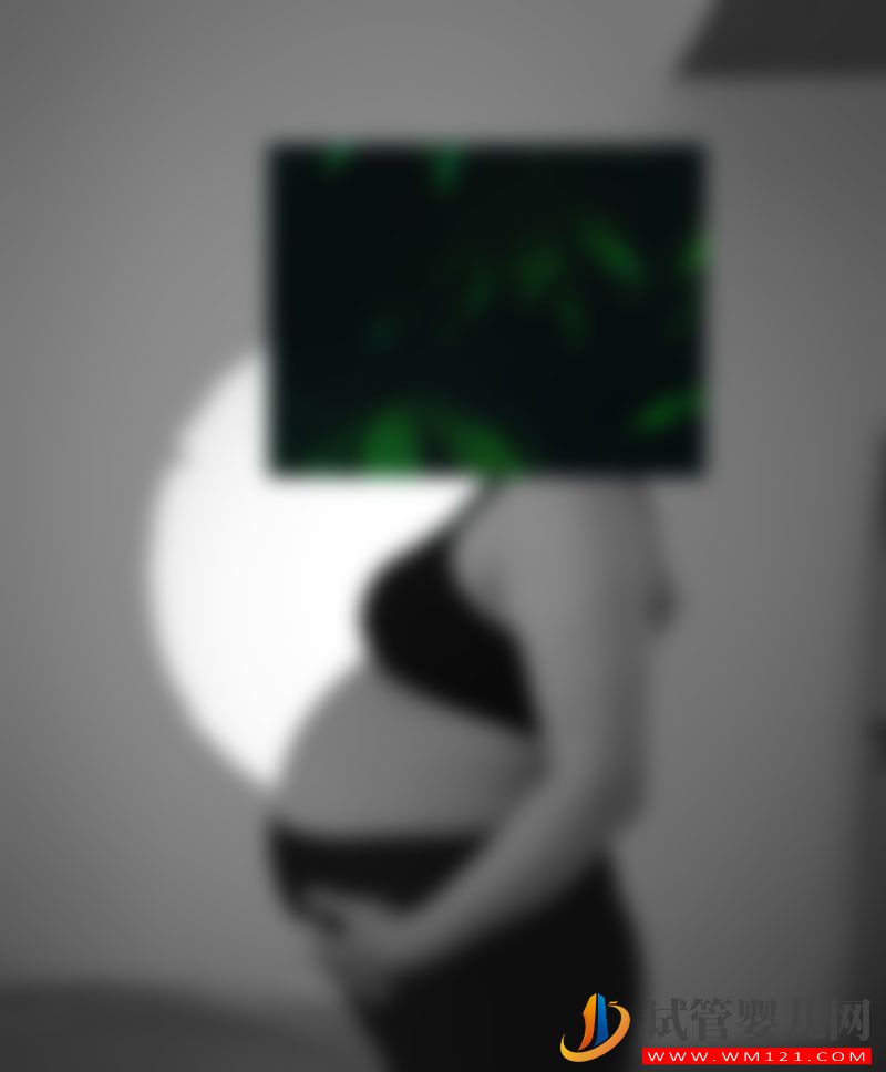 做試管嬰兒可以找人代生嗎(圖1)